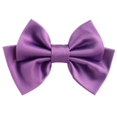 Serenza Small Hair Bow Clip
