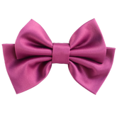 Alumea Small Hair Bow Clip