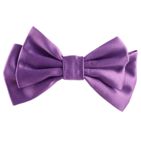 Serenza Medium Hair Bow Clip