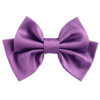 Serenza Small Hair Bow Clip