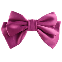 Alumea Medium Hair Bow Clip
