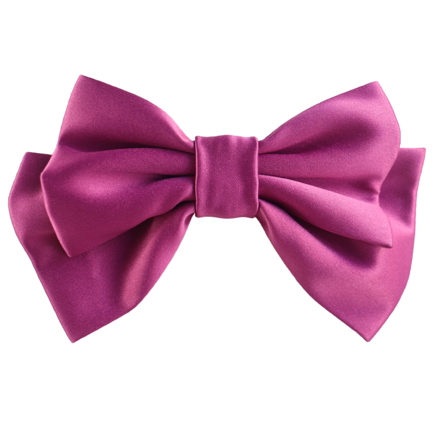 Alumea Medium Hair Bow Clip