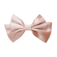 Roselle Small Hair Bow Clip