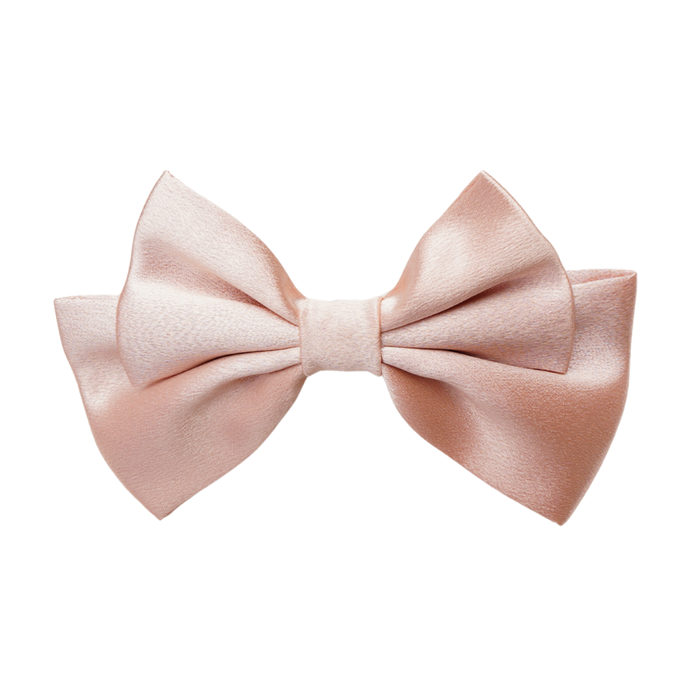 Roselle Small Hair Bow Clip