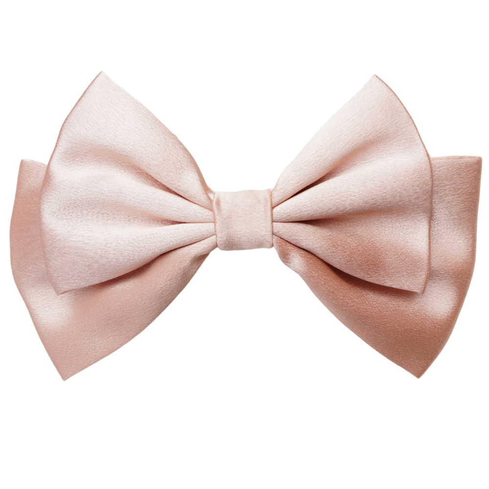 Roselle Medium Hair Bow Clip