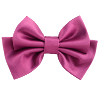 Alumea Small Hair Bow Clip