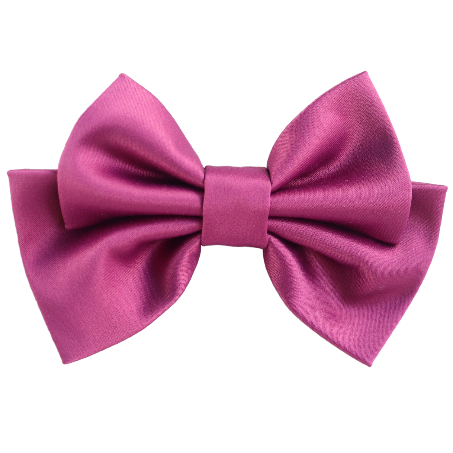 Alumea Small Hair Bow Clip