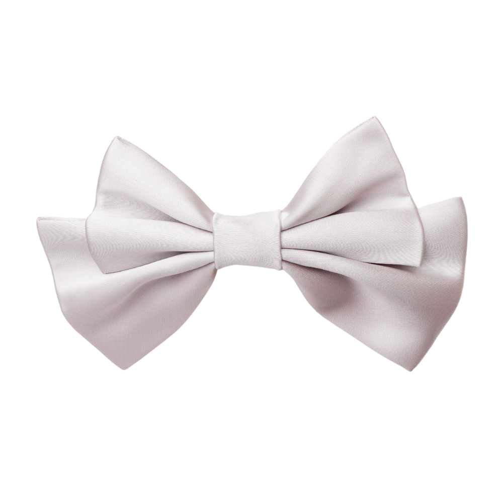 Avenor Small Hair Bow Clip