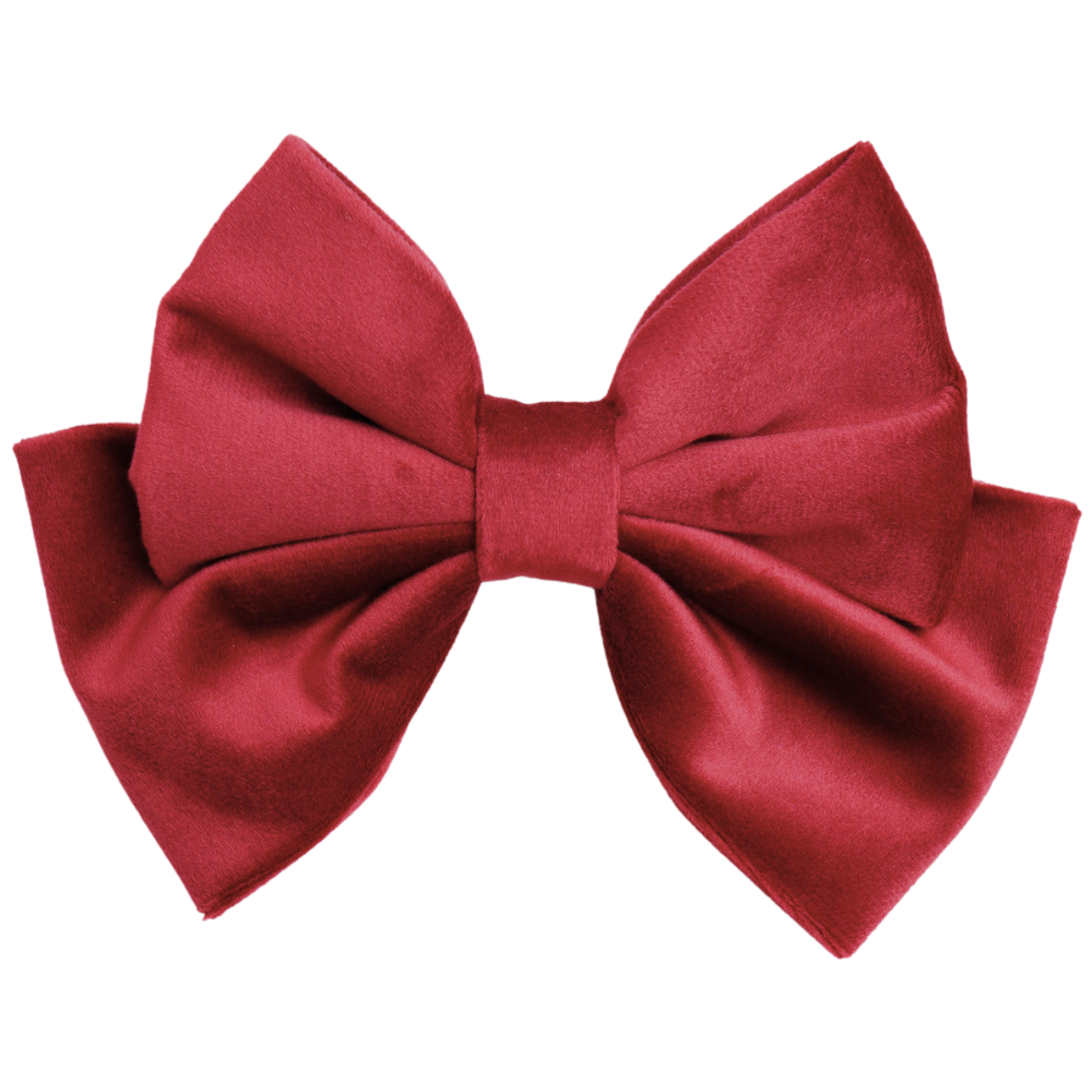 Novira Medium Hair Bow Clip