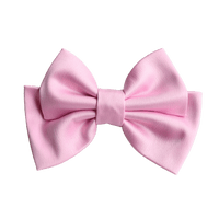 Alora Small Hair Bow Clip