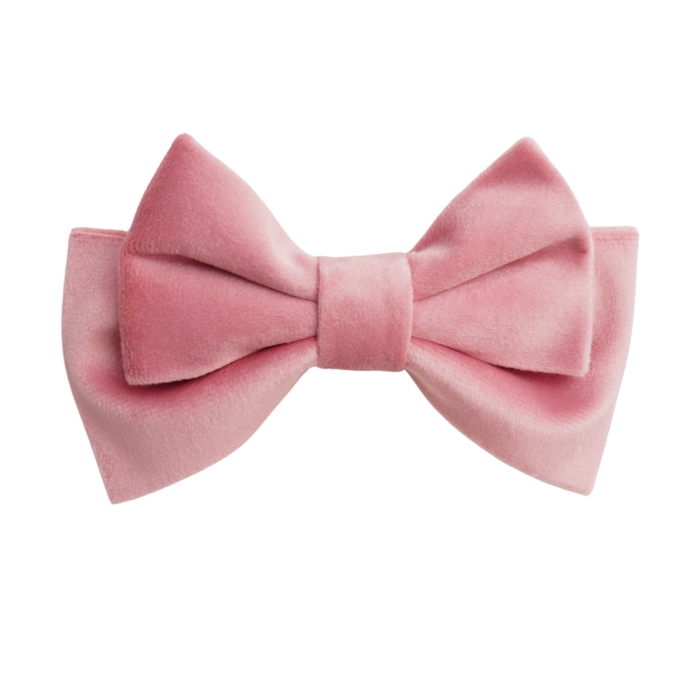 Velune Small Hair Bow Clip