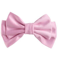 Alora Medium Hair Bow Clip