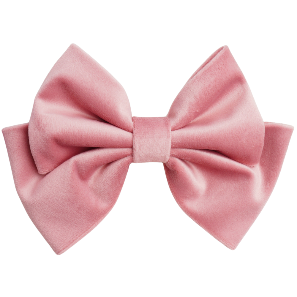 Velune Medium Hair Bow Clip