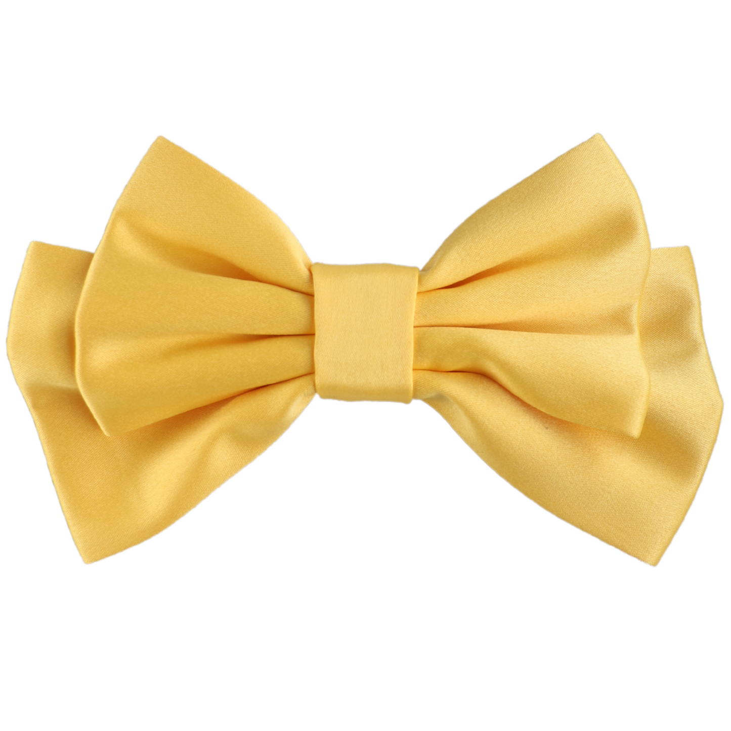 Tressa Medium Hair Bow Clip