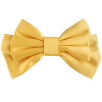 Tressa Medium Hair Bow Clip