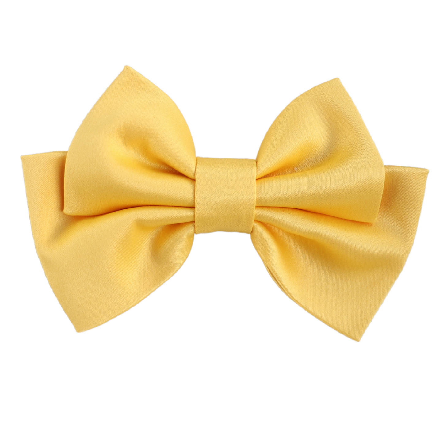 Tressa Small Hair Bow Clip