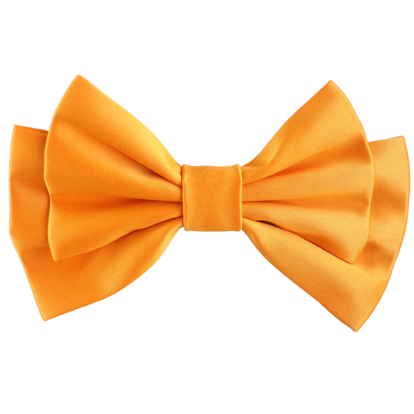 Pirelle Medium Hair Bow Clip