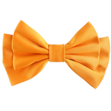 Pirelle Medium Hair Bow Clip