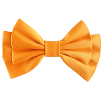 Pirelle Medium Hair Bow Clip