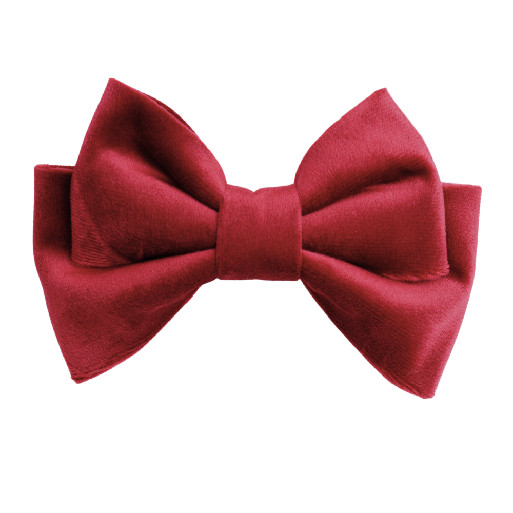 Novira Small Hair Bow Clip