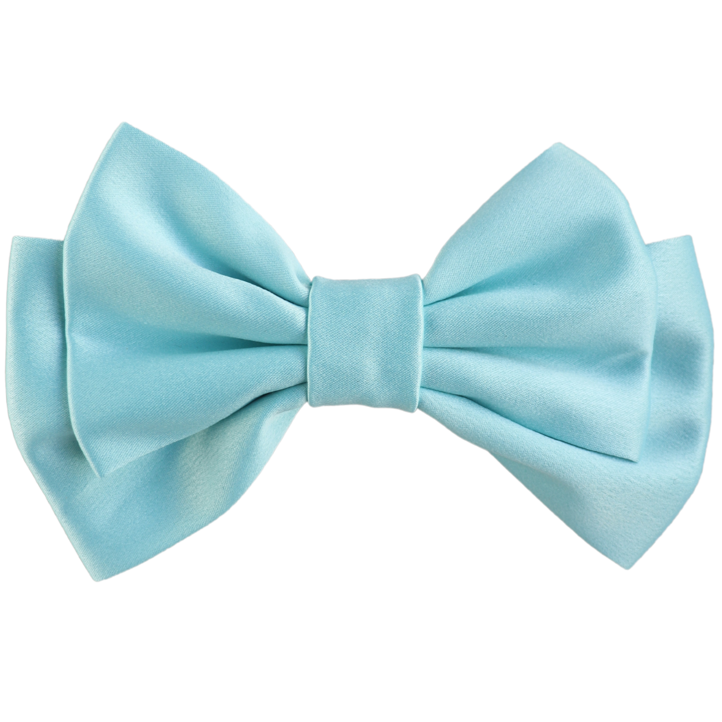 Liora Medium Hair Bow Clip
