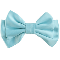 Liora Medium Hair Bow Clip