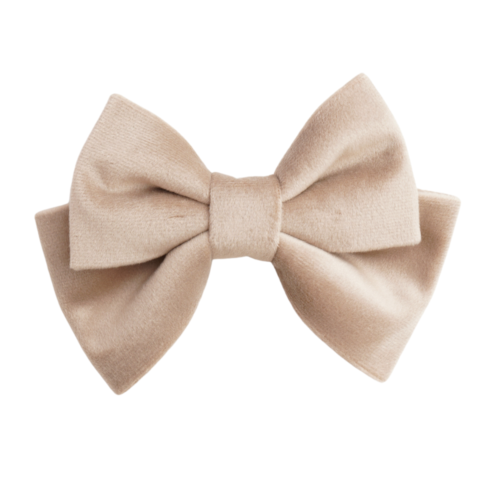 Clouden Small Hair Bow Clip