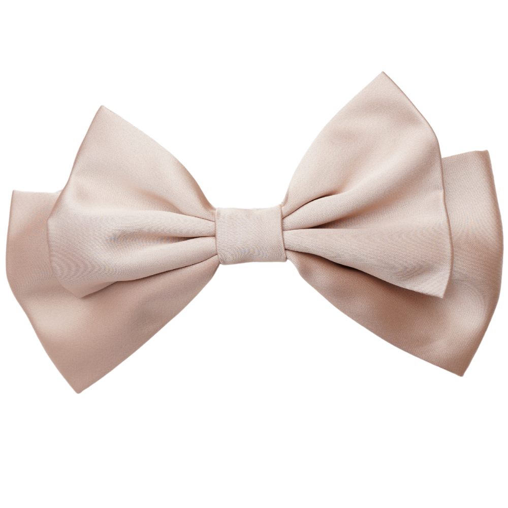 Serelle Medium Hair Bow Clip