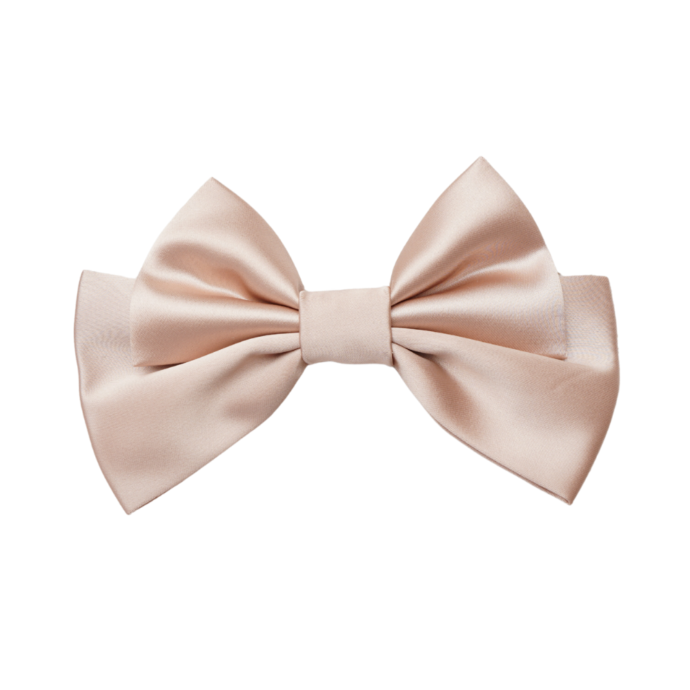 Serelle Small Hair Bow Clip