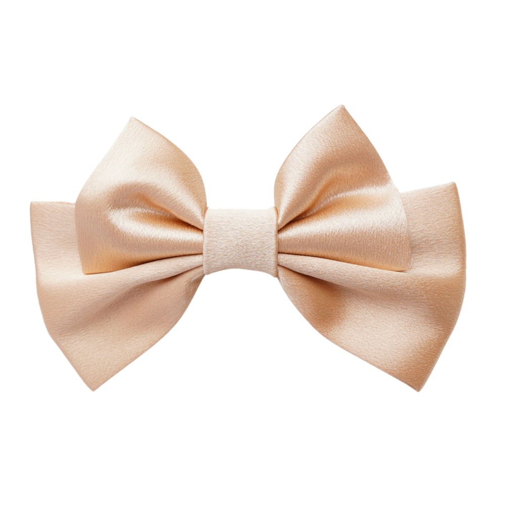 Calira Small Hair Bow Clip