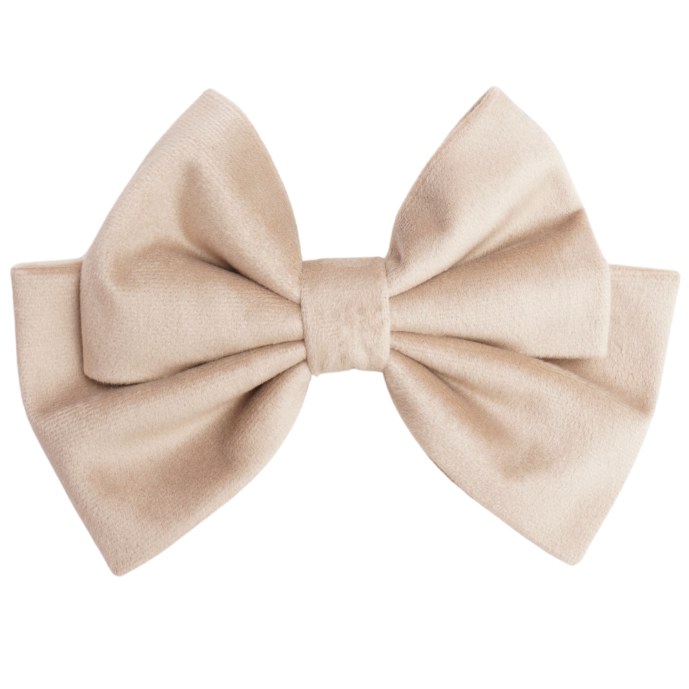 Clouden Medium Hair Bow Clip