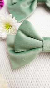 Petalis Medium Hair Bow Clip