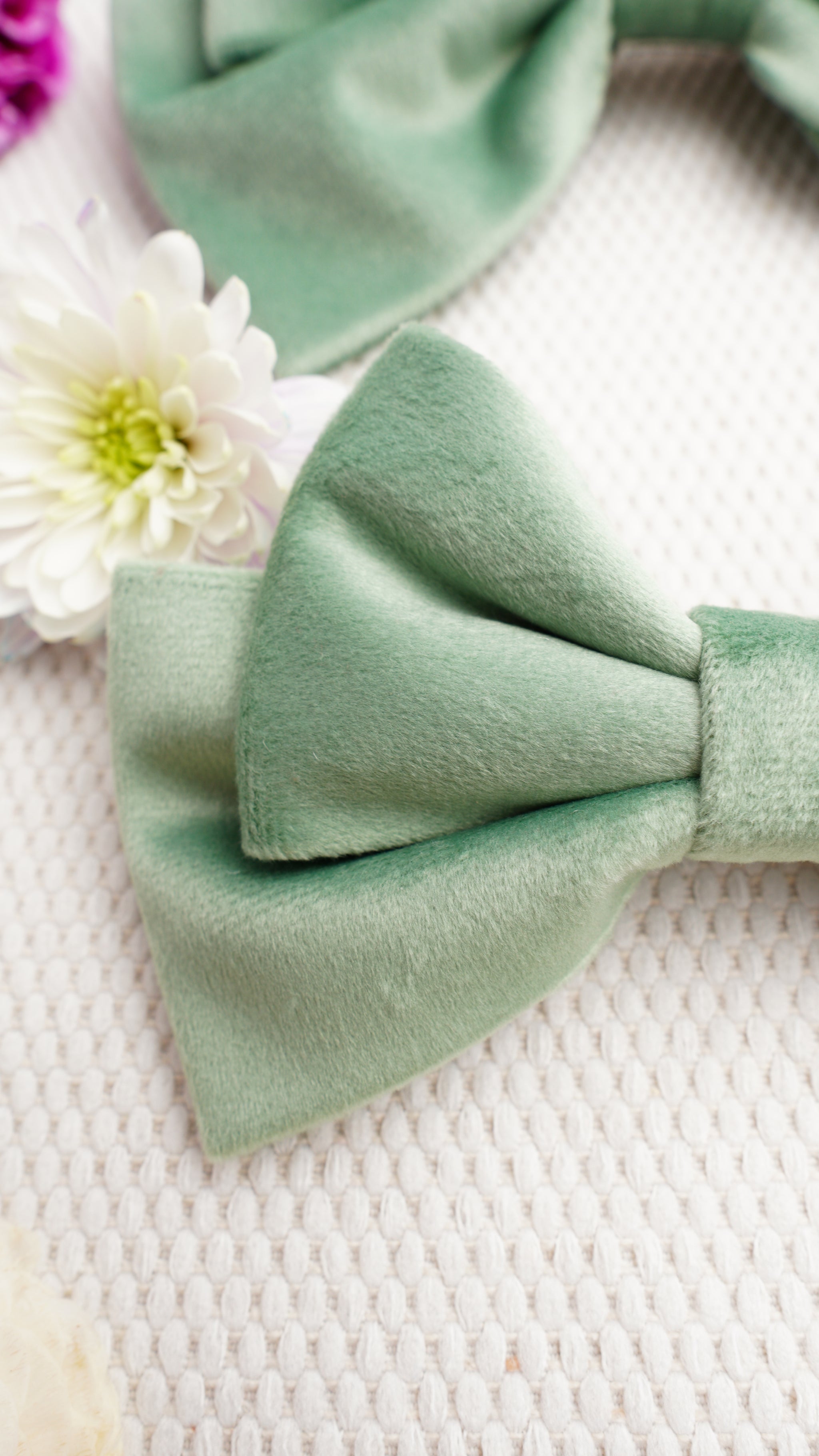 Petalis Medium Hair Bow Clip