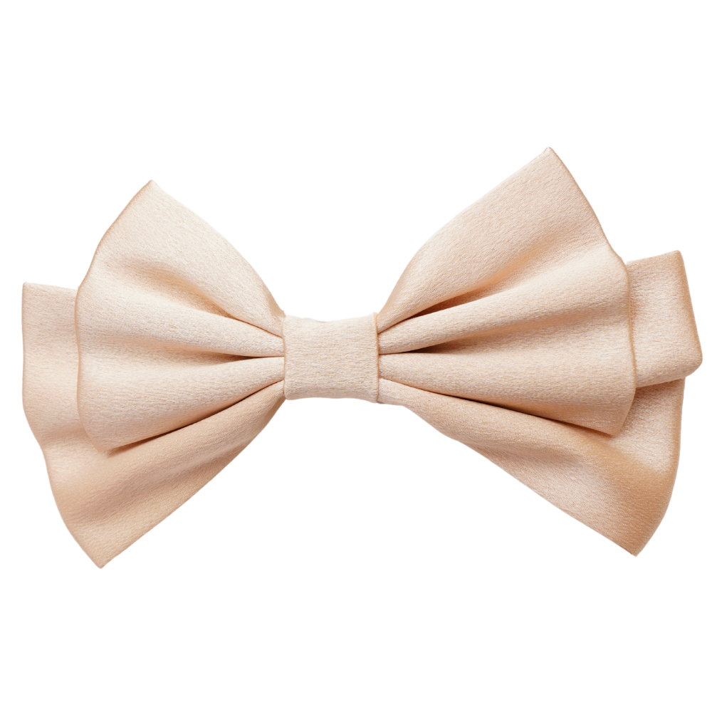 Calira Medium Hair Bow Clip
