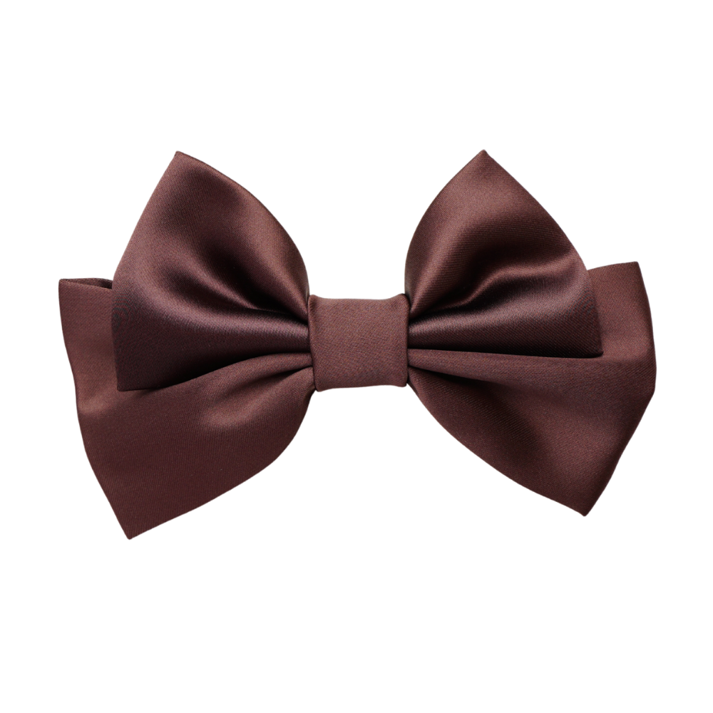 Vireya Small Hair Bow Clip