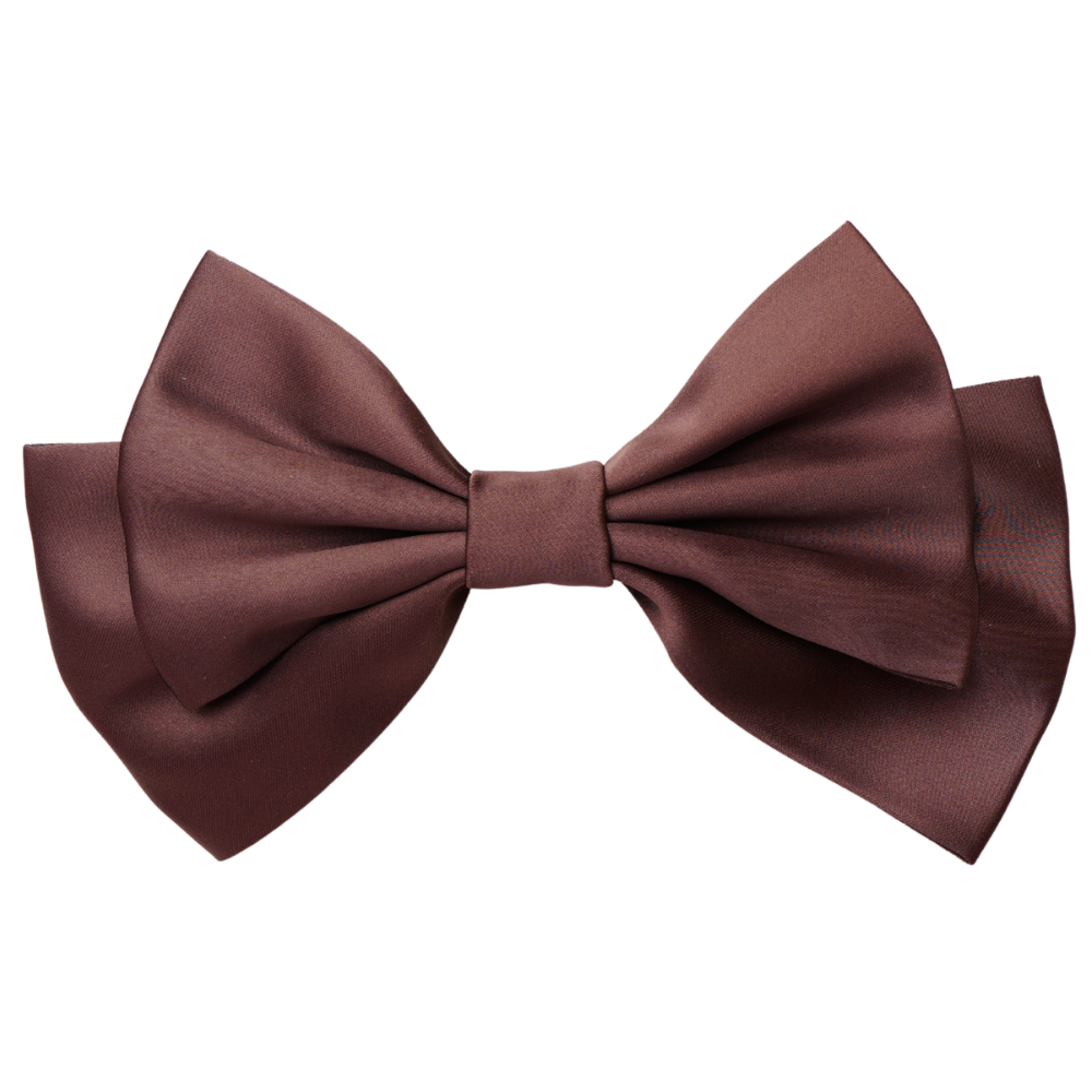 Vireya Medium Hair Bow Clip