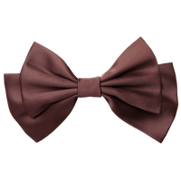 Vireya Medium Hair Bow Clip
