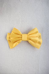 Tressa Medium Hair Bow Clip