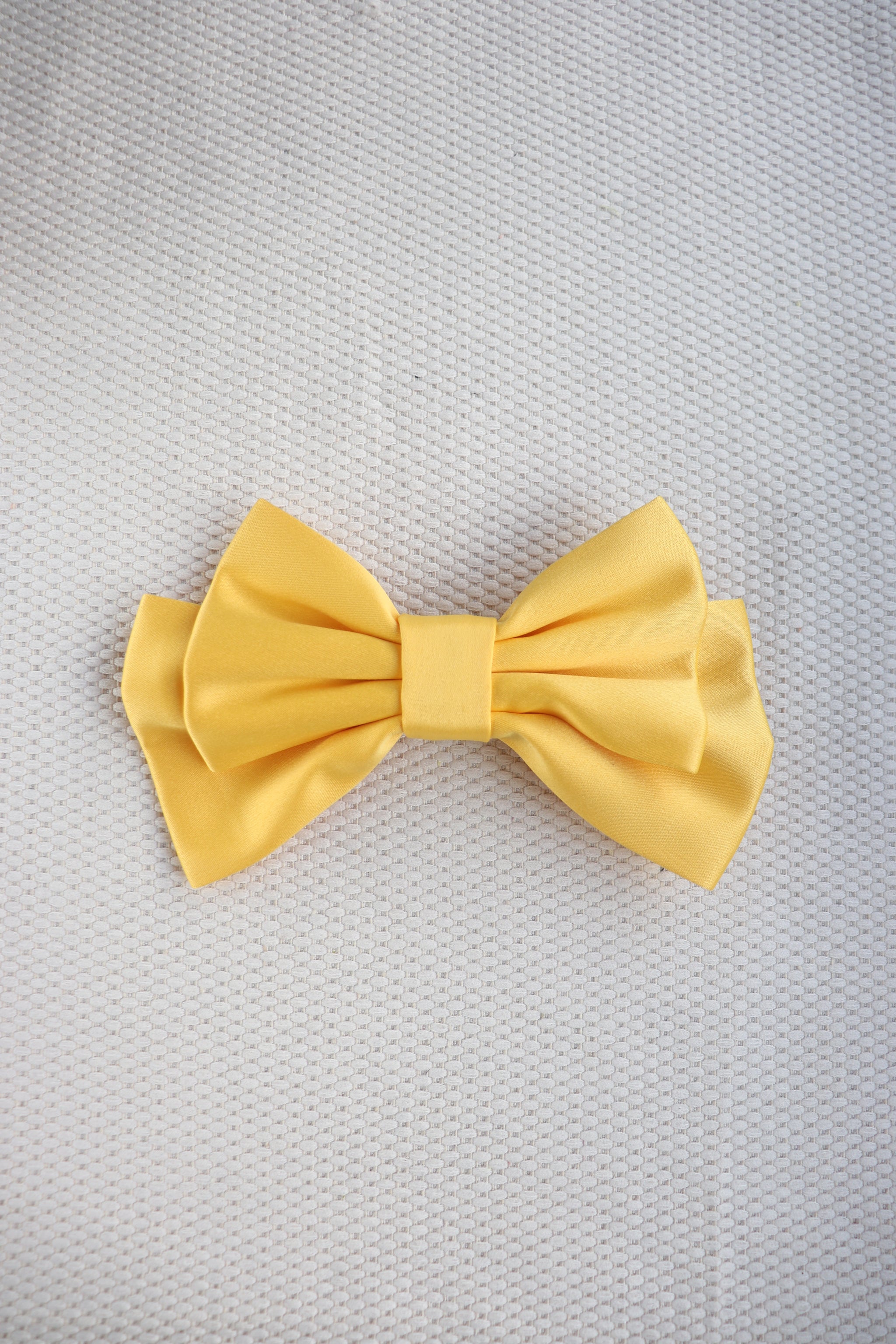 Tressa Medium Hair Bow Clip
