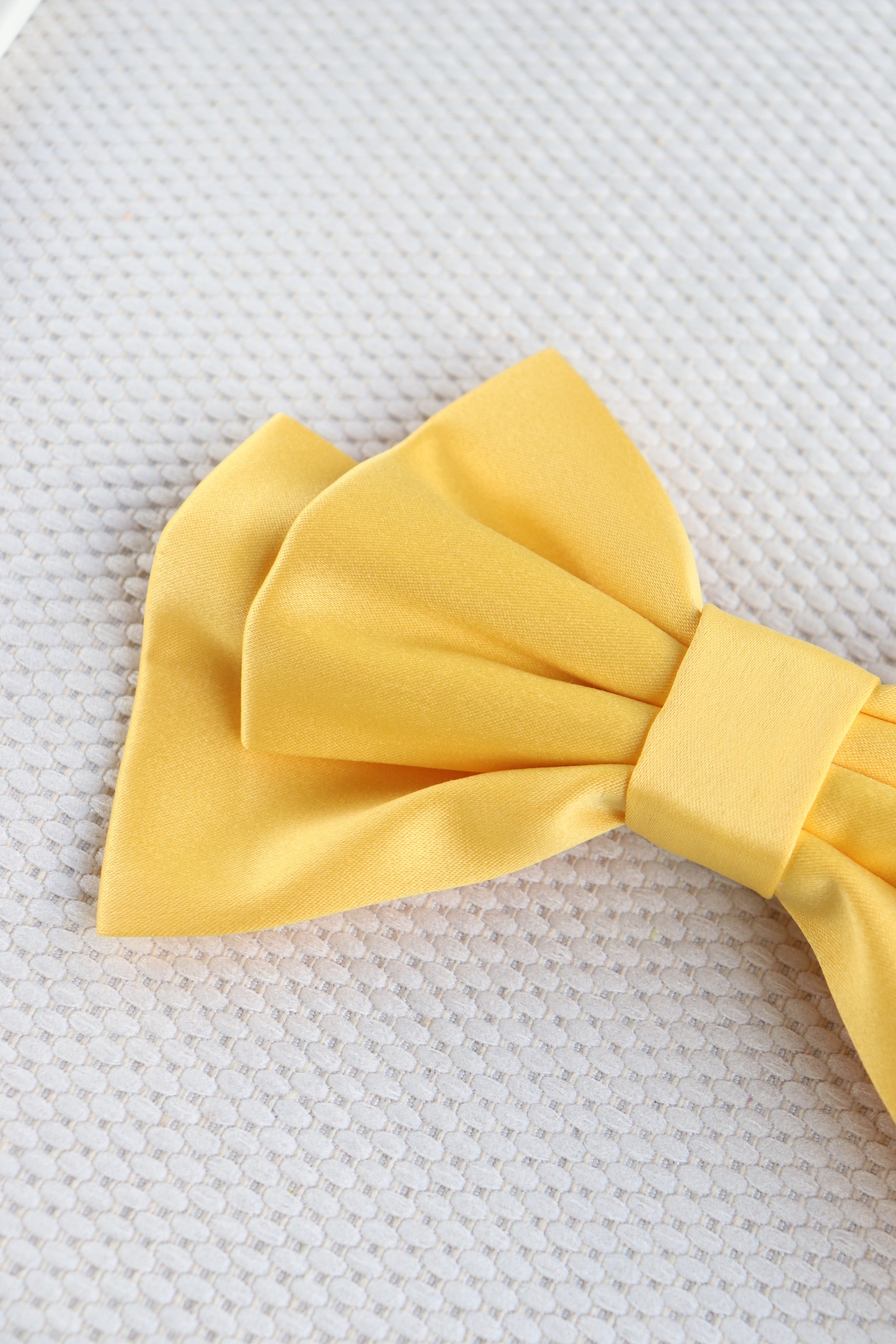 Tressa Medium Hair Bow Clip