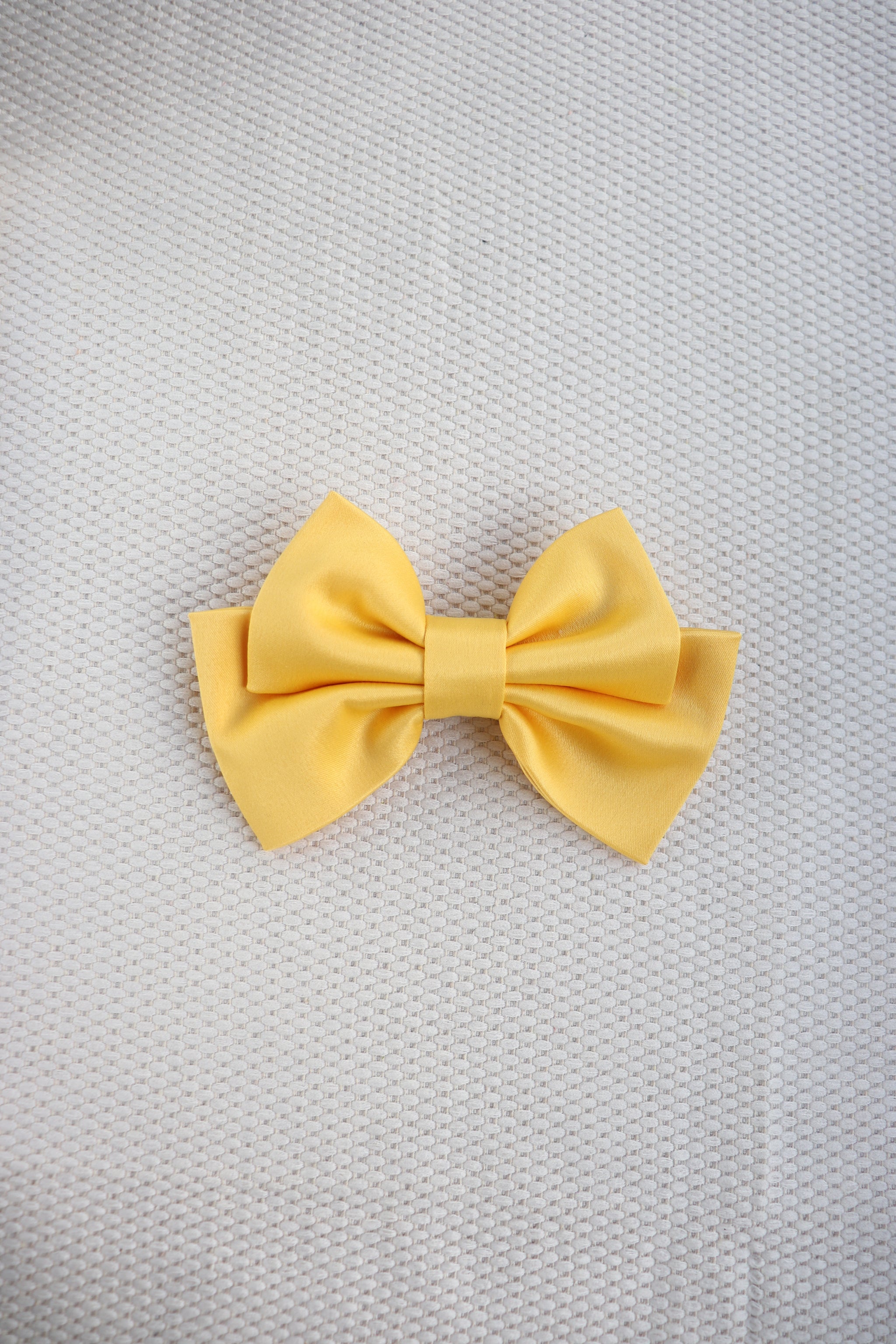 Tressa Small Hair Bow Clip