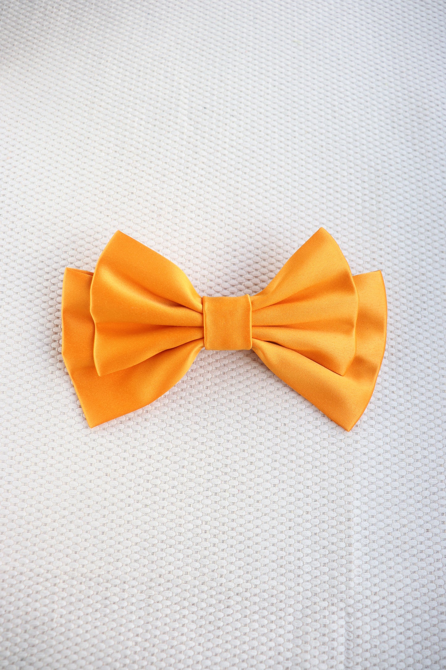 Pirelle Medium Hair Bow Clip
