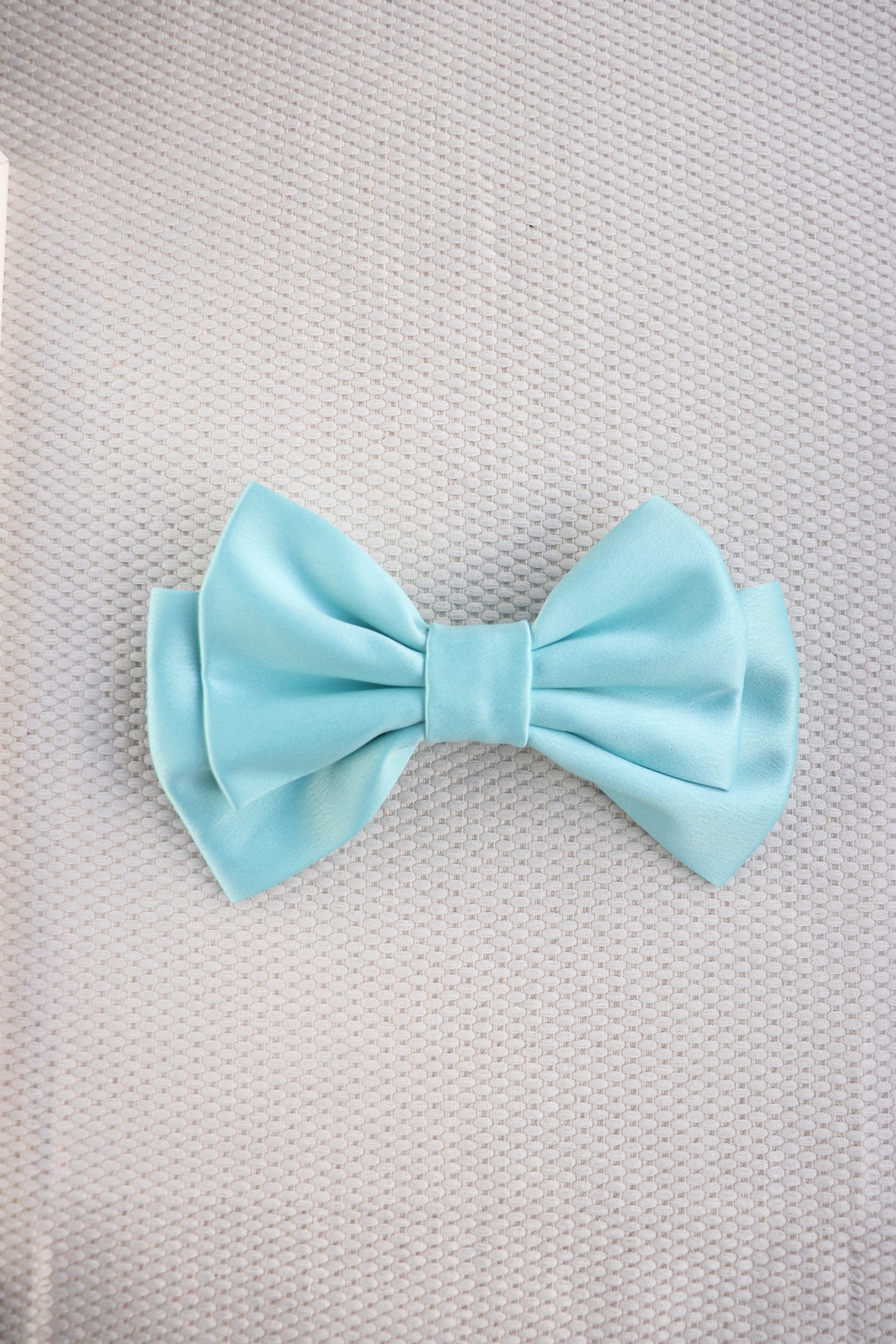 Liora Medium Hair Bow Clip