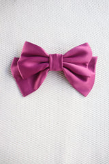 Alumea Medium Hair Bow Clip