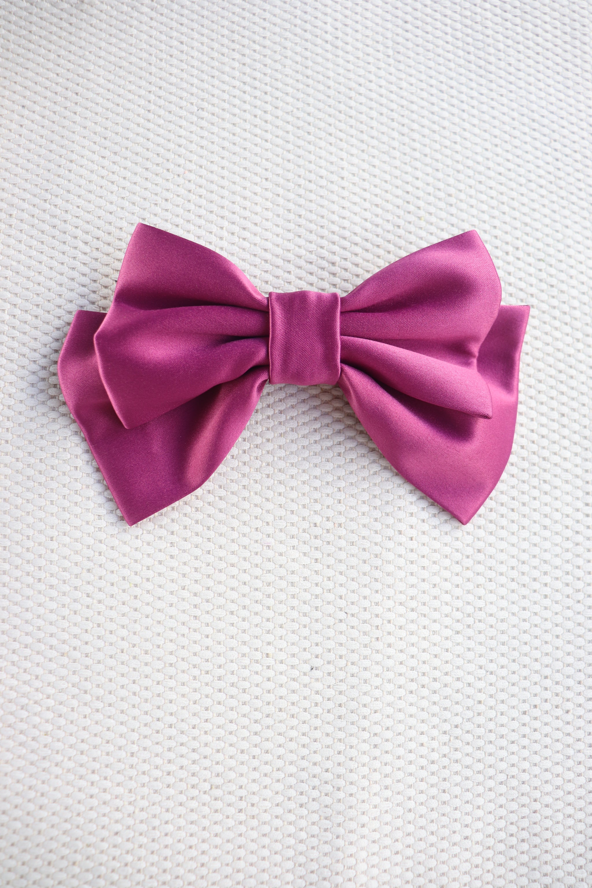 Alumea Medium Hair Bow Clip