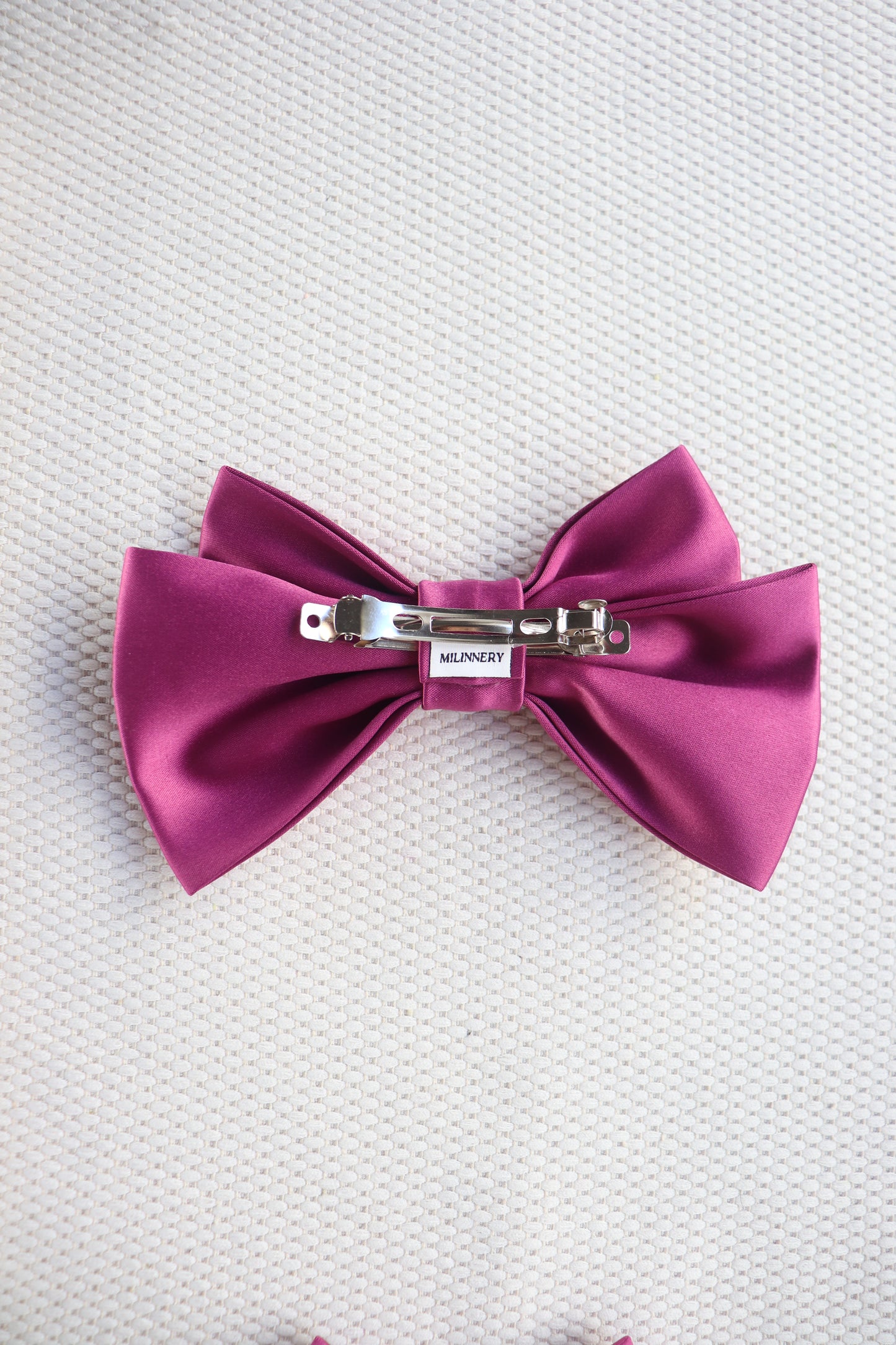 Alumea Medium Hair Bow Clip