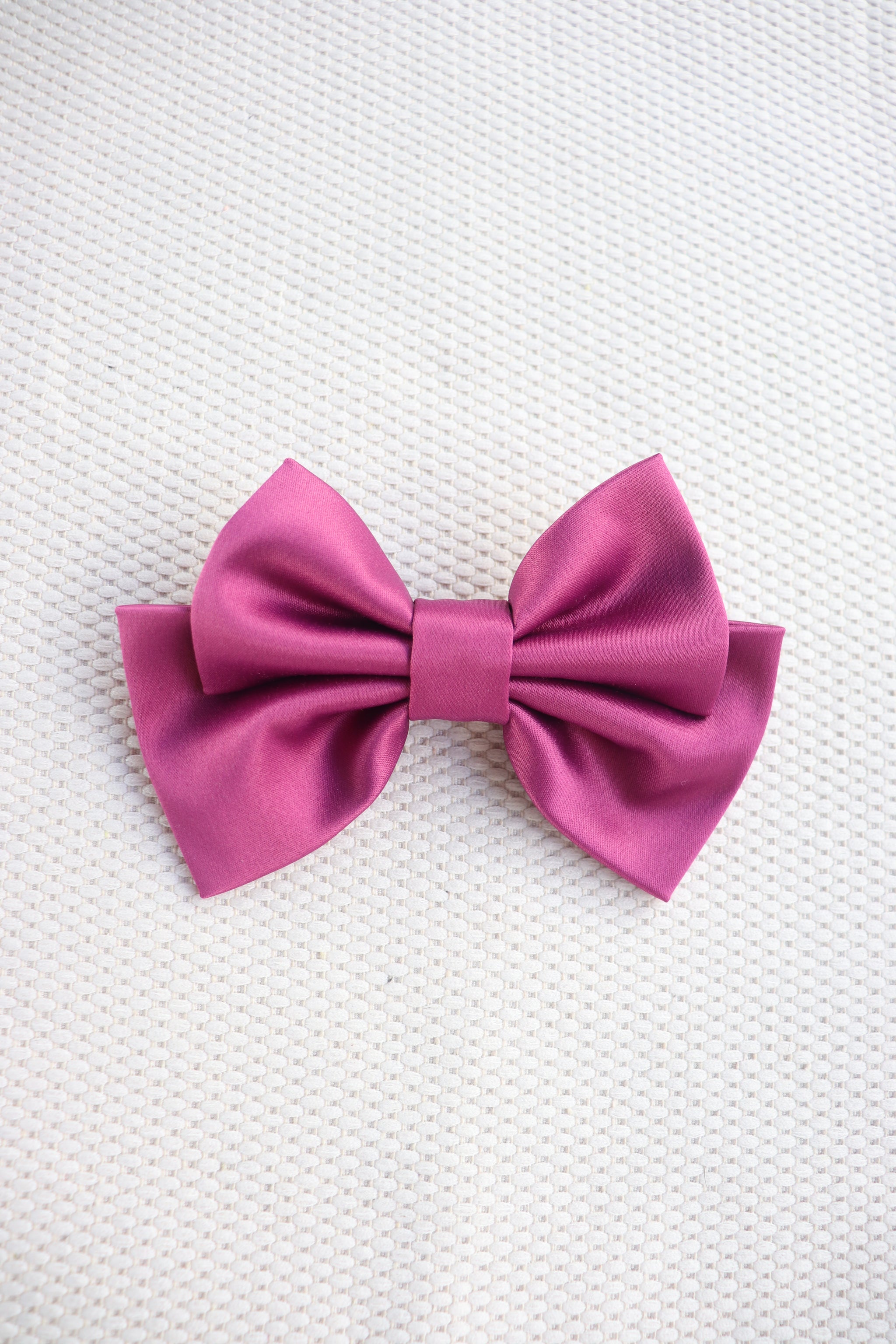 Alumea Small Hair Bow Clip