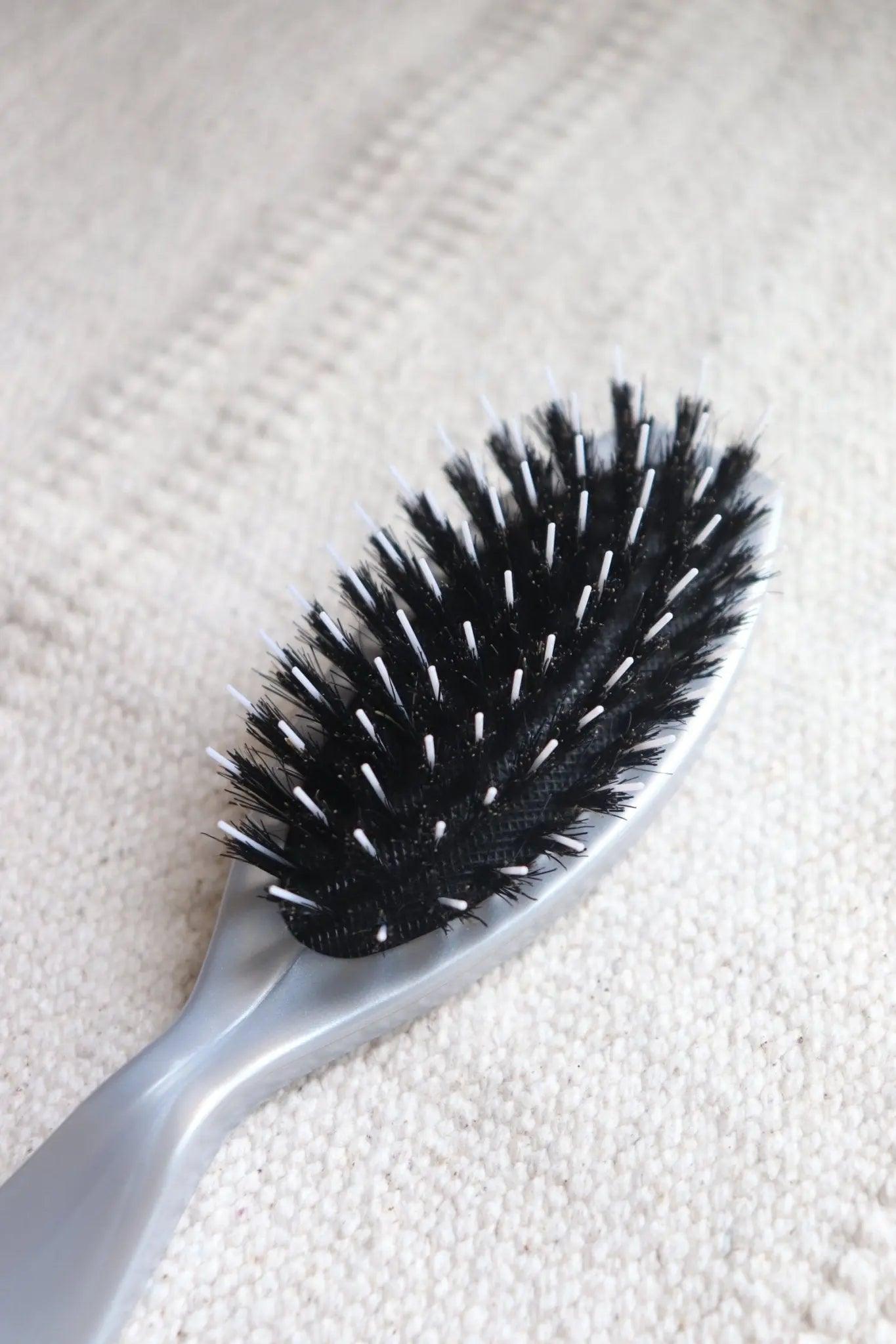 Small Oval Professional Boar Bristle Brush - Milinnery